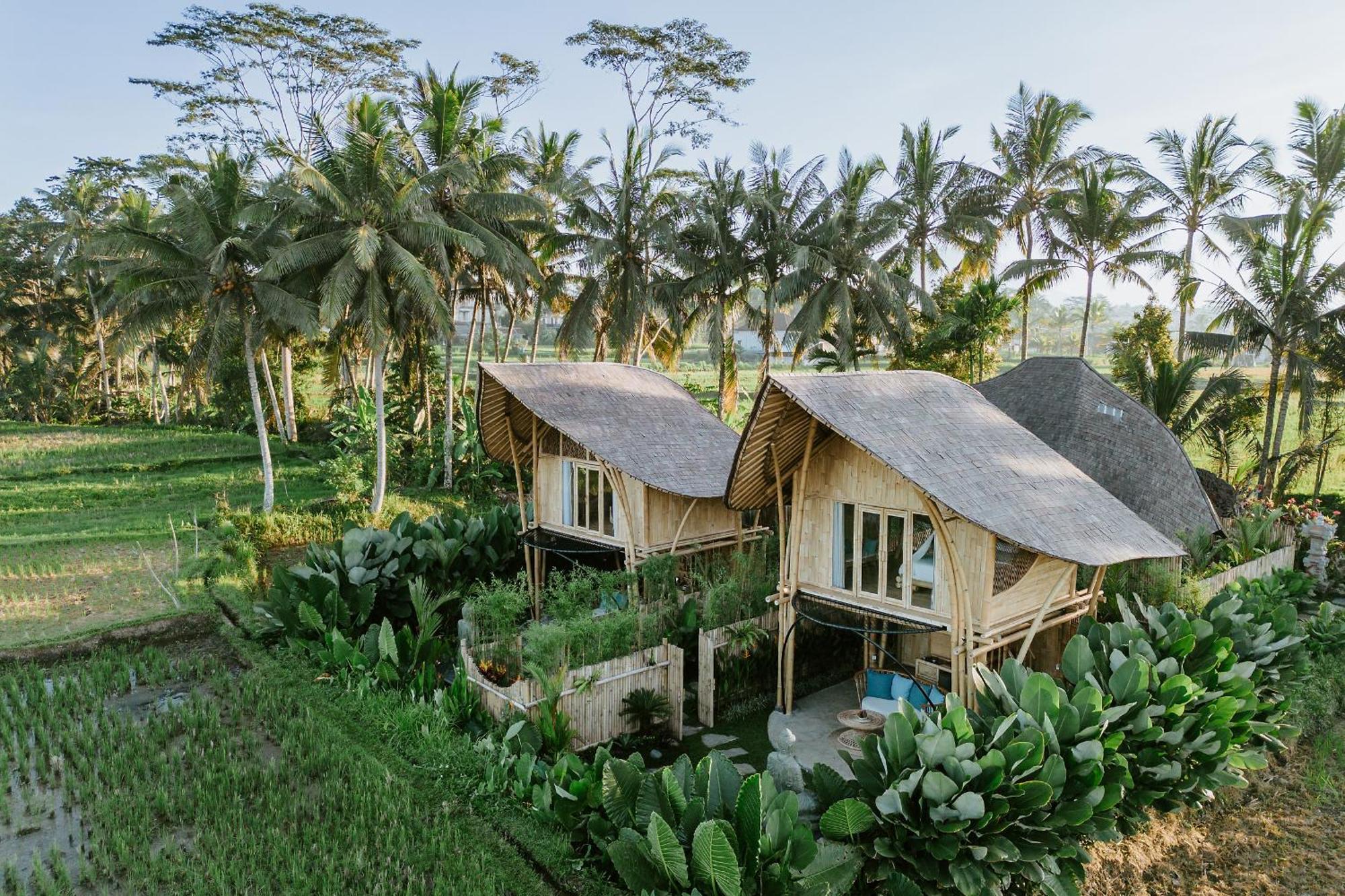 Puca Gavi Eco Luxury Villa Ubud Managed By Manara מראה חיצוני תמונה